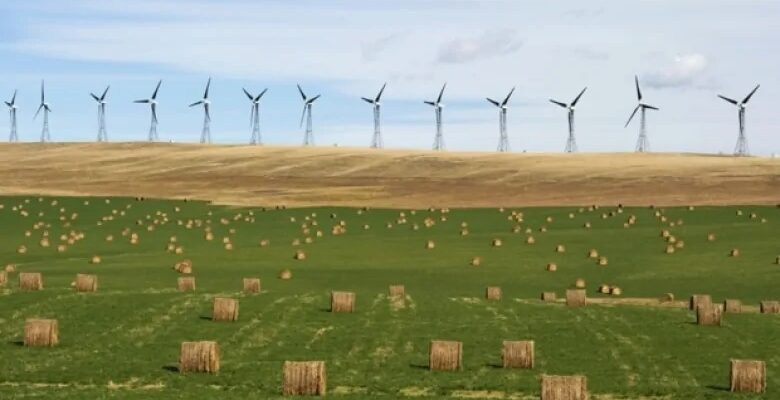 ألبرتا يمكن أن تقود كندا فى مجال طاقة الرياح والطاقة الشمسية بحلول عام 2025