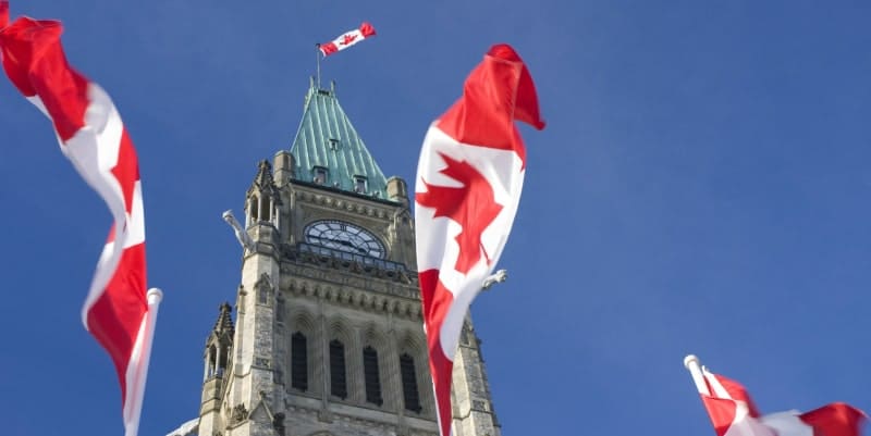 زاد الاهتمام بالهجرة الكندية بين أبريل وأغسطس 2020