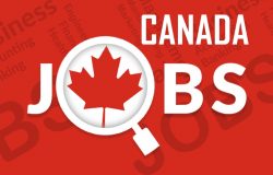 أفضل 10 وظائف مطلوبة فى كندا لعام 2021